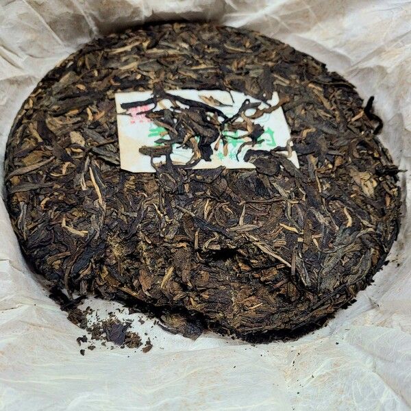 2008 진승노반장의 병면, 고수차 초기 차라서 그런지 만드는데 정성이 들어 있어 보이지 않는다