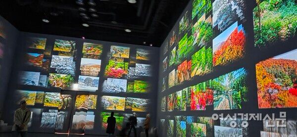 화담채에서 영상으로 보여주는 화담숲의 사계절 모습 /박종섭