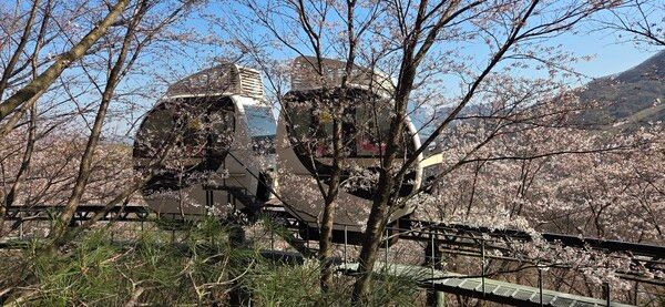 화담숲 정상까지 모노레일이 다니고 있어 편히 관람할 수 있다. /박종섭