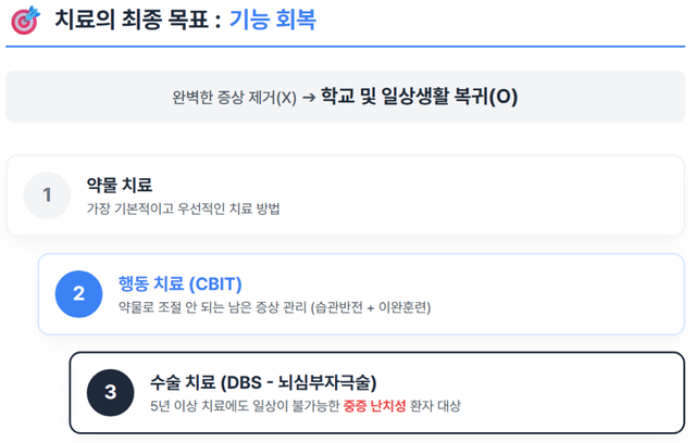 투렛장애 치료에 대한 기사 내용을 요약한 인포그래픽 이미지 /구글 제미나이로 재구성