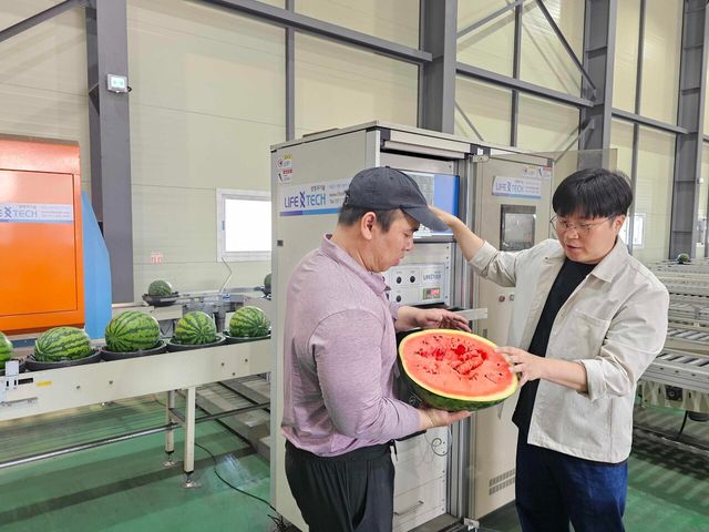 박청규 쿠팡 로켓프레시 품질보증팀 매니저(오른쪽)가 협력사와 함께 AI 과일 선별기를 거친 수박을 교차 검증하고 있다. /쿠팡
