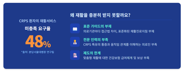 기사 내용을 AI로 요약한 인포그래픽 이미지 /구글 제미나이