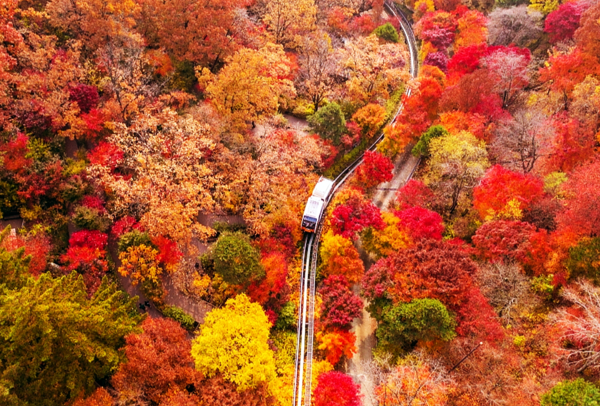 2023년 단풍절정시기, 경기도 광주 화담숲 (사진출처=한국관광공사)