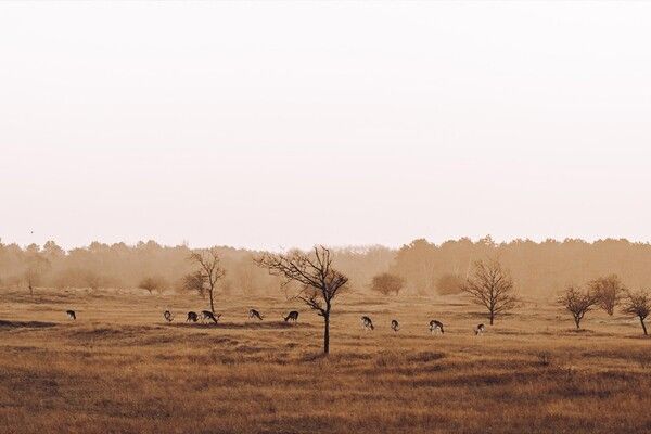 네덜란드 여행지(사진출처=네덜란드 관광청)