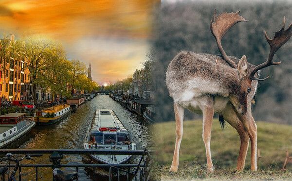 네덜란드 여행지(사진출처=네덜란드 관광청)