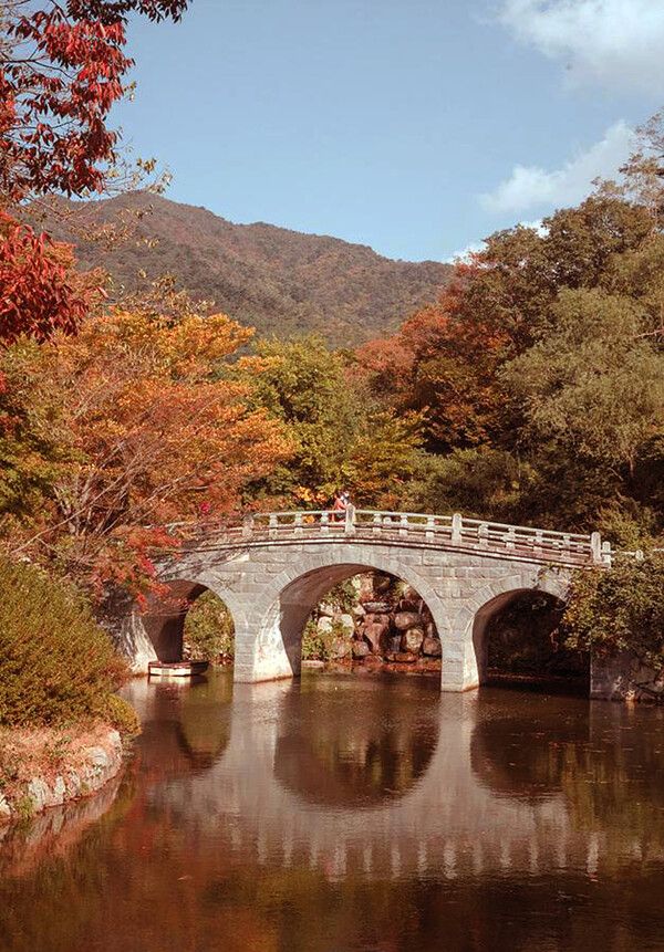 경주 불국사 국내여행 (사진출처=한국관광공사)