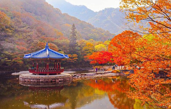 전북 정읍 내장산 국내여행 (사진출처=한국관광공사)