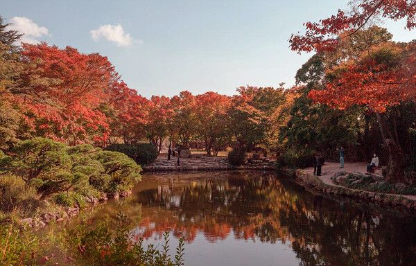 경주 불국사 국내여행 (사진출처=한국관광공사)