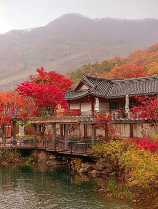 경기도 광주 화담숲 국내여행 (사진출처=한국관광공사)