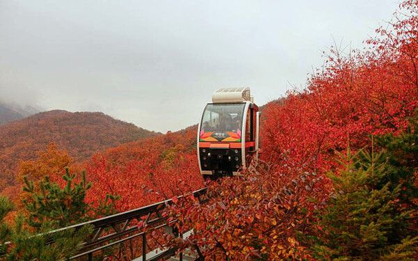 경기도 광주 화담숲 국내여행 (사진출처=한국관광공사)