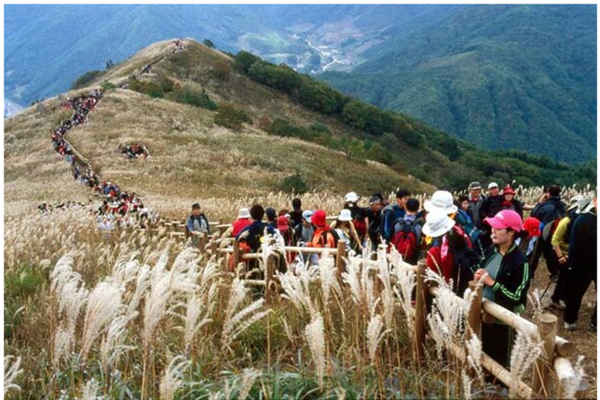 2023년 억새, 단풍절정시기 전국유명산 가볼만한 곳 여행지 추천 (사진출처=한국관광공사)