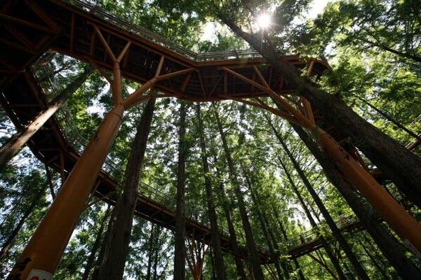 대전 장태산자연휴양림 (사진출처=한국관광공사)