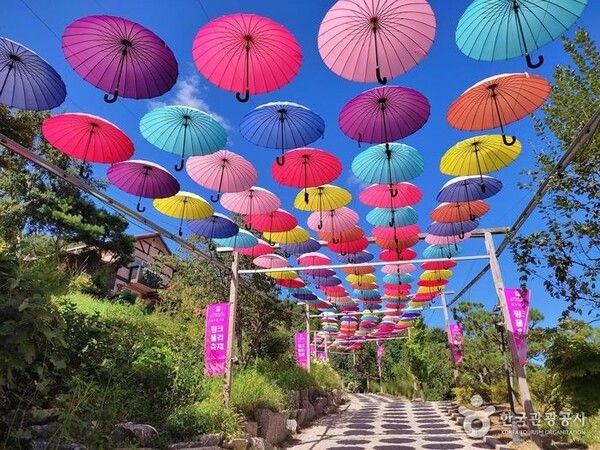 경기도여행, 허브아일랜드 (사진출처=한국관광공사)