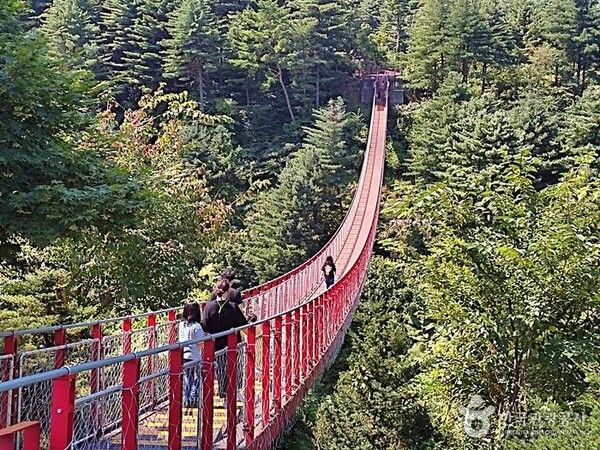 경기도여행, 허브아일랜드 (사진출처=한국관광공사)