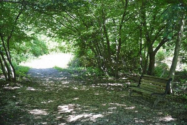 전국 단풍절정시기 걷기여행지 설악누리길 (사진출처=한국관광공사)