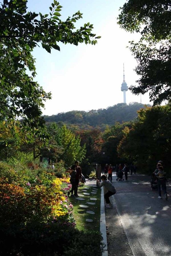 전국 단풍절정시기 걷기여행지 남산순환나들이길 (사진출처=한국관광공사)