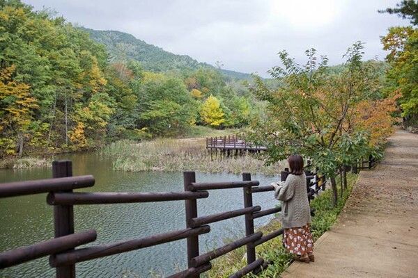 전국 단풍절정시기 걷기여행지 설악누리길 (사진출처=한국관광공사)