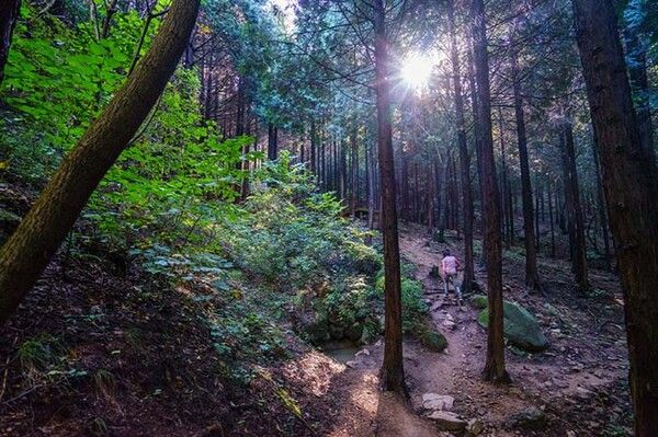 전국 단풍절정시기 걷기여행지 창원둘레길 (사진출처=한국관광공사)