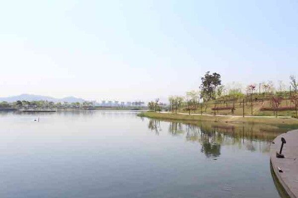 전국 단풍절정시기 걷기여행지 세종호수길 (사진출처=한국관광공사)