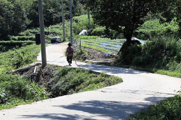 전국 단풍절정시기 걷기여행지 지리산둘레길 (사진출처=한국관광공사)