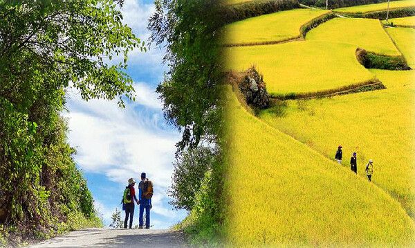 전국 단풍절정시기 걷기여행지 (사진출처=한국관광공사)