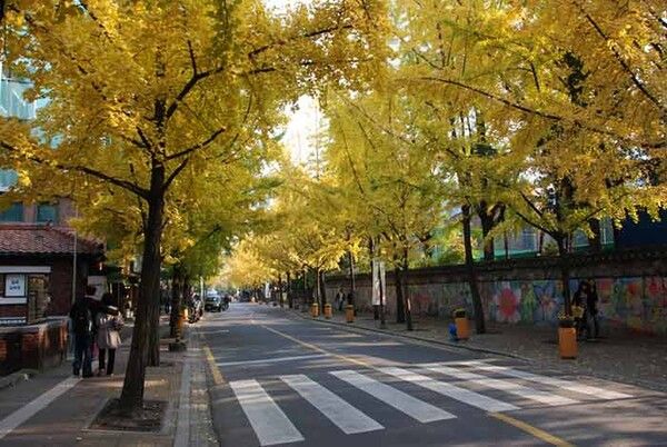 전국 단풍절정시기 걷기여행지 (사진출처=한국관광공사)