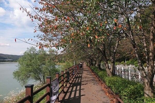 전국 단풍절정시기 걷기여행지 수원팔색길 (사진출처=한국관광공사)