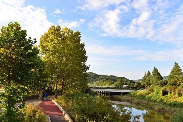 전국 단풍절정시기 걷기여행지 대덕사이언스길 (사진출처=한국관광공사)