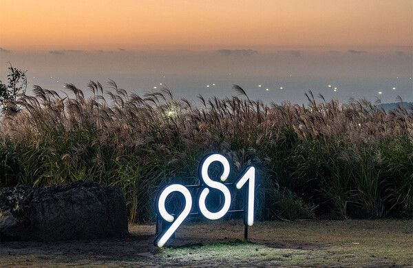 ‘제주도 억새 군락지’로 유명한 애월읍 어음리 일대에 위치한 9.81파크 (사진출처=한국관광공사)