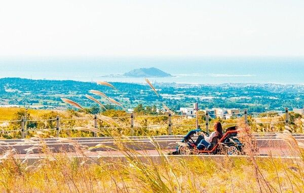 ‘제주도 억새 군락지’로 유명한 애월읍 어음리 일대에 위치한 9.81파크 (사진출처=한국관광공사)