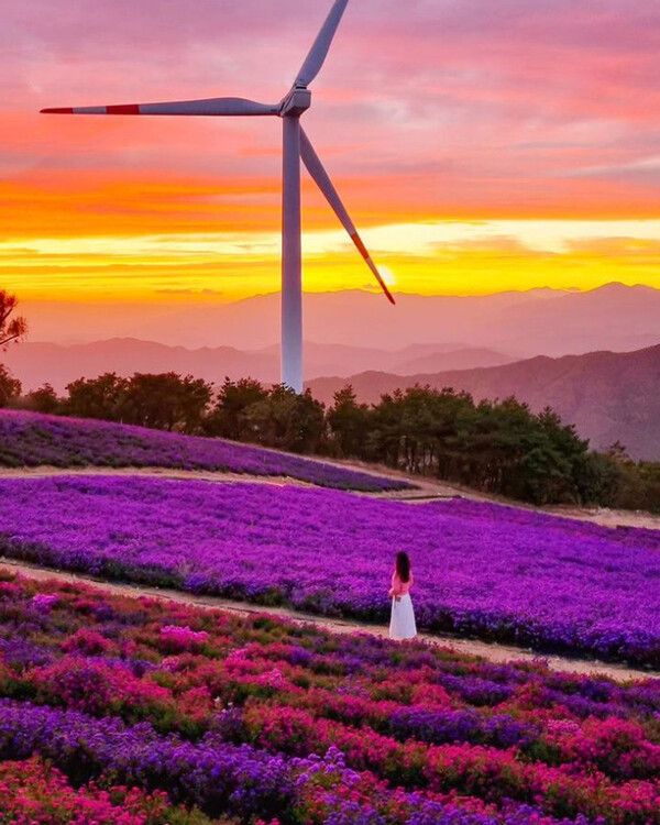 국내여행 가볼만한곳 추천명소 '당일치기, 1박2일' 여행지 (사진출처=한국관광공사, &nbsp;@rose_kek 님 제공)