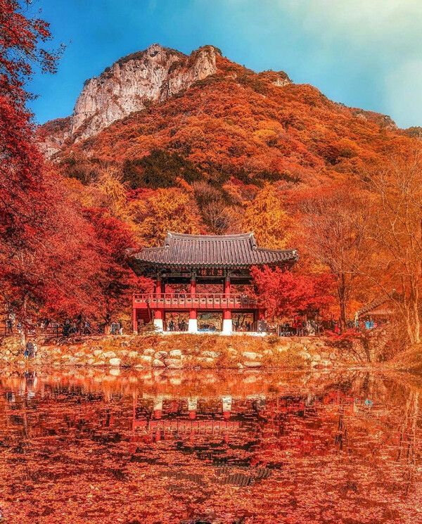 국내여행 가볼만한곳 추천명소 '당일치기, 1박2일' 여행지 (사진출처=한국관광공사, &nbsp;@hc_nain 님 제공)