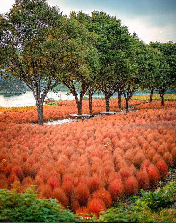 국내여행 가볼만한곳 추천명소 '당일치기, 1박2일' 여행지 (사진출처=한국관광공사, &nbsp;@hansol_photo 님 제공)