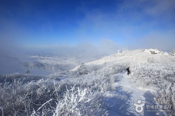 무주 덕유산 향적봉 눈꽃세상 상고대, 추위 날씨스케치 (사진출처=한국관광공사)