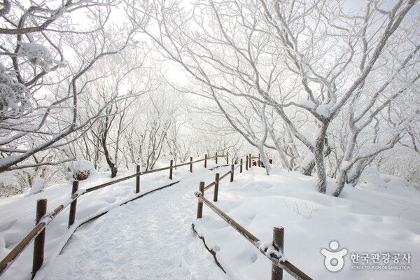 무주 덕유산 향적봉 눈꽃세상 상고대, 추위 날씨스케치 (사진출처=한국관광공사)