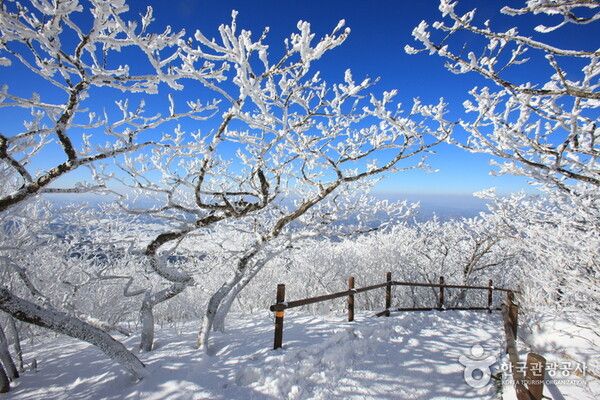 무주 덕유산 향적봉 눈꽃세상 상고대, 추위 날씨스케치 (사진출처=한국관광공사)