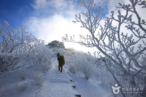 무주 덕유산 향적봉 눈꽃세상 상고대, 추위 날씨스케치 (사진출처=한국관광공사)