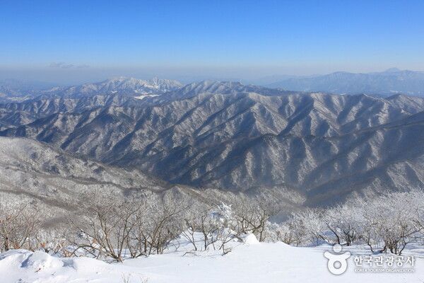 무주 덕유산 향적봉 눈꽃세상 상고대, 추위 날씨스케치 (사진출처=한국관광공사)