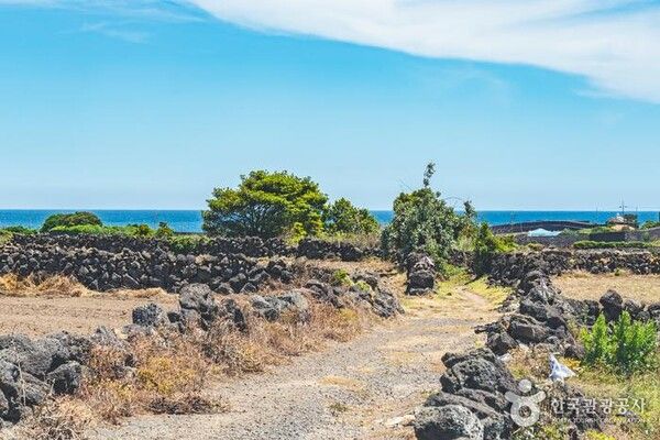 제주올레길 21코스 제주여행 (사진출처=한국관광공사)