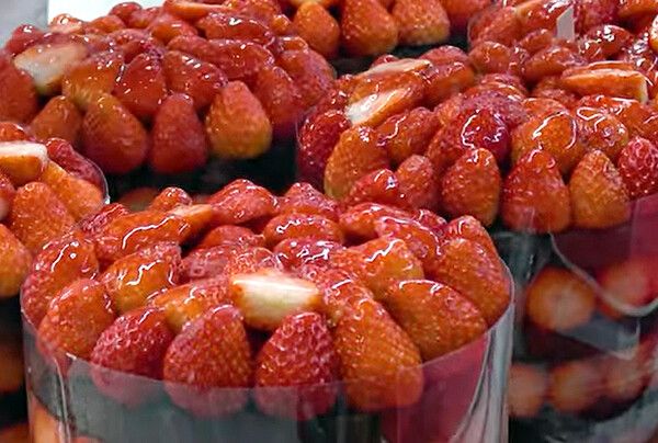 대전여행, 성심당 무슨빵 먹지? (사진출처=한국관광공사, 성심당 홈페이지)