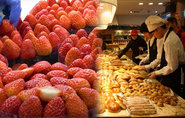 대전여행, 성심당 무슨빵 먹지? (사진출처=한국관광공사, 성심당 홈페이지)