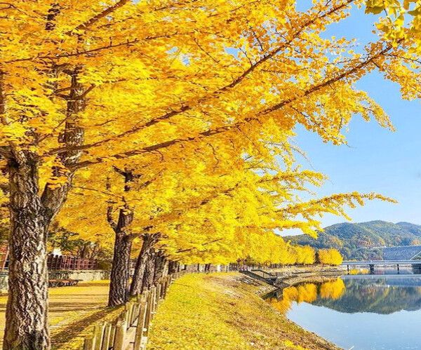 안동여행 (사진출처=한국관광공사SNS, @yellmee._.v, @hyeoni_seraphic, @mr_afterwork, @blissmine_hyoni82 님 제공)