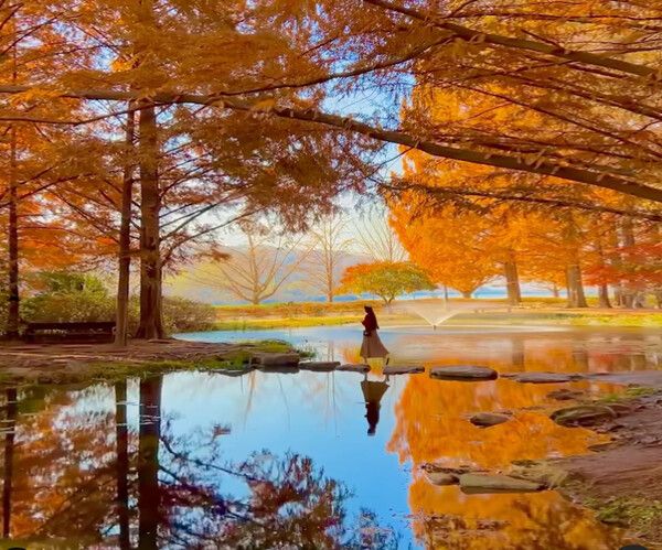 안동여행 (사진출처=한국관광공사SNS, @yellmee._.v, @hyeoni_seraphic, @mr_afterwork, @blissmine_hyoni82 님 제공)