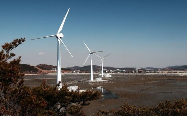 안산 탄도항 (사진출처=한국관광공사)