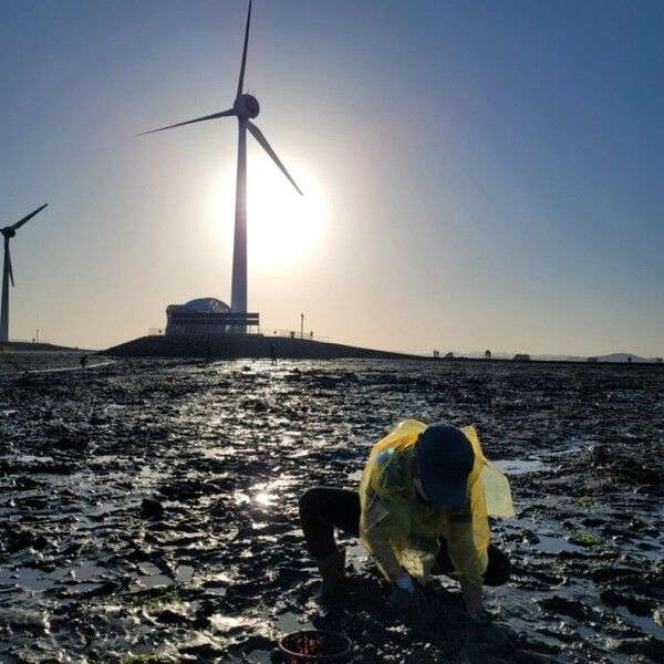 안산 탄도항 (사진출처=한국관광공사)