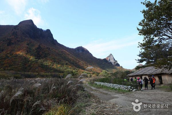 울릉도(경북 울릉군) /한국관광공사 제공