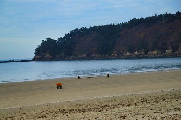 삽시도 / 한국관광공사 제공