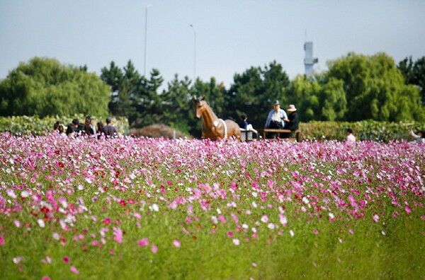대·소이작도(인천 옹진군) / 한국관광공사 제공