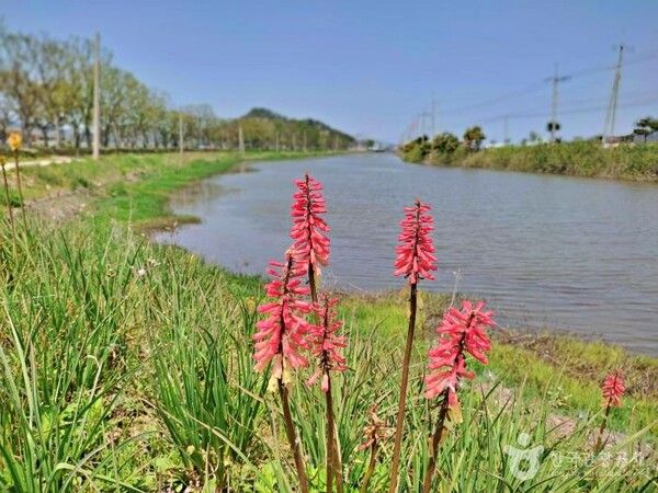 도초도(전남 신안군) / 한국관광공사 제공