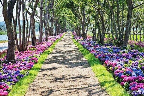 도초도(전남 신안군) / 한국관광공사 제공